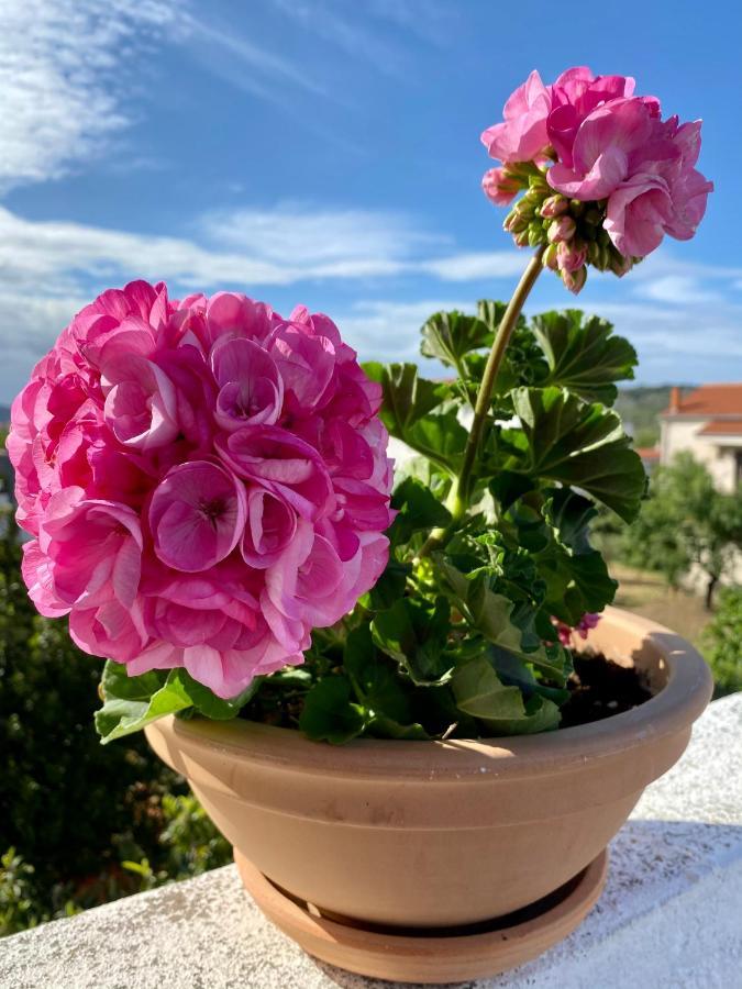 Apartman Bartol Betina  Eksteriør bilde